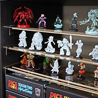 LAX RAX game shelf insert (24-Pack)