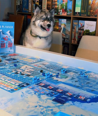 3×5' Double-sided THEMATIC PLAYMATS