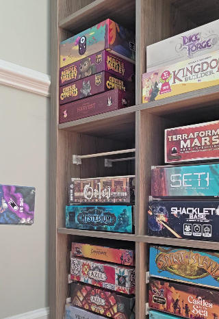 LAX RAX game shelf insert (24-Pack)