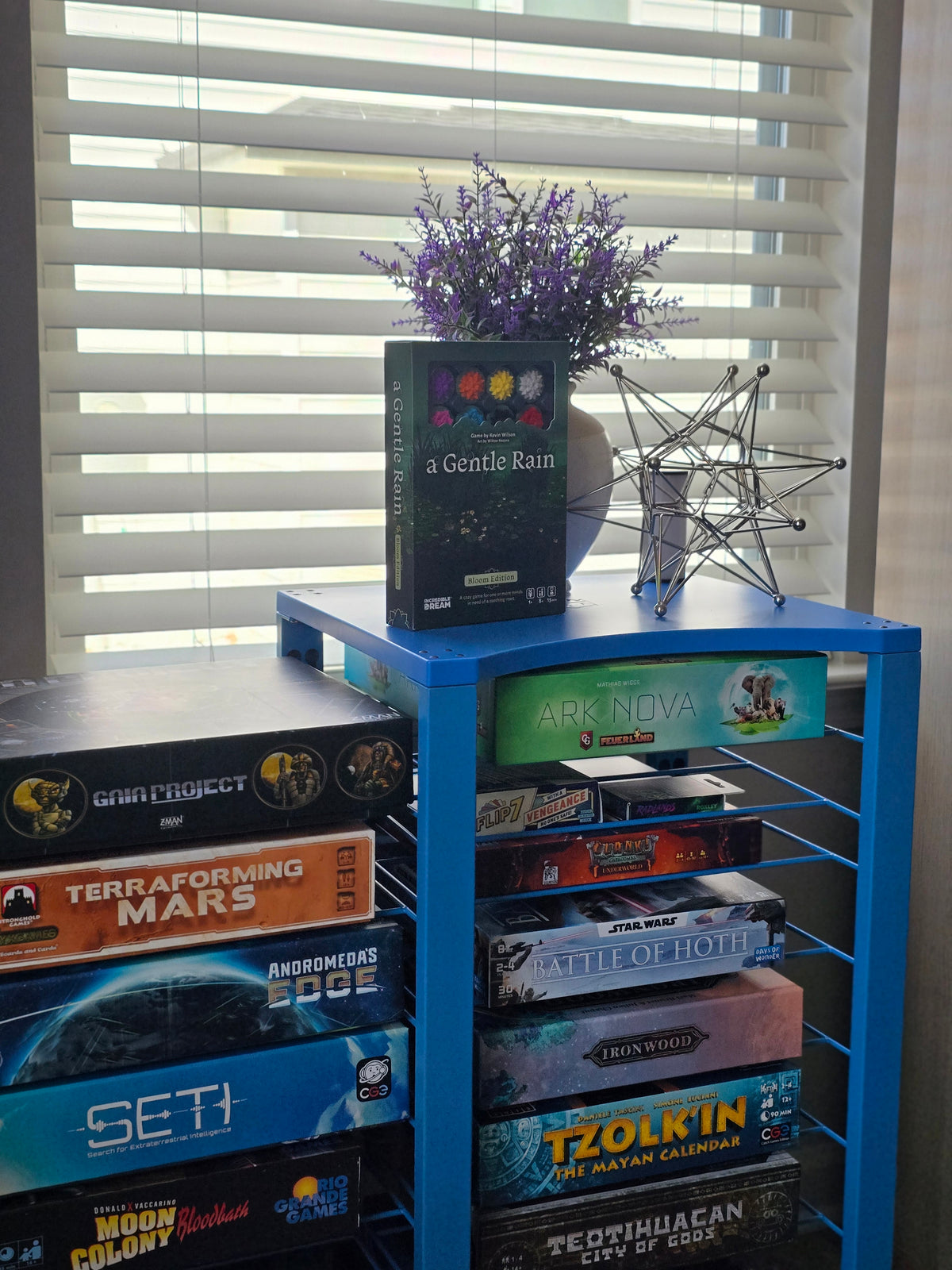 BoxDuke + 24 shelves