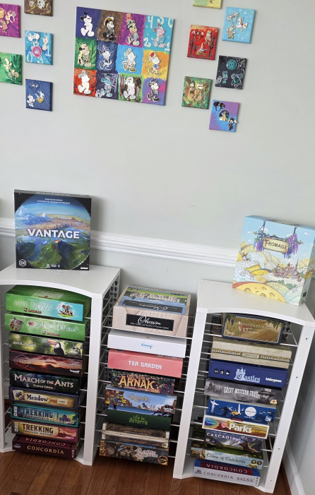 BoxDuke + 24 shelves