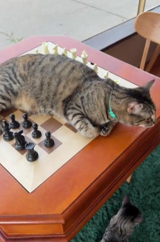 Reversible Chess & Checkers Game Table with Storage Drawers