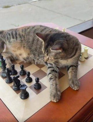 Reversible Chess & Checkers Game Table with Storage Drawers