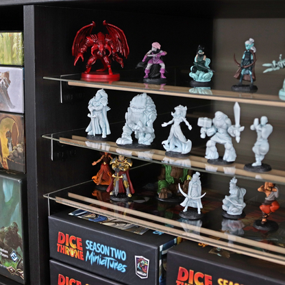 LAX RAX game shelf insert (24-Pack)-BoxKing