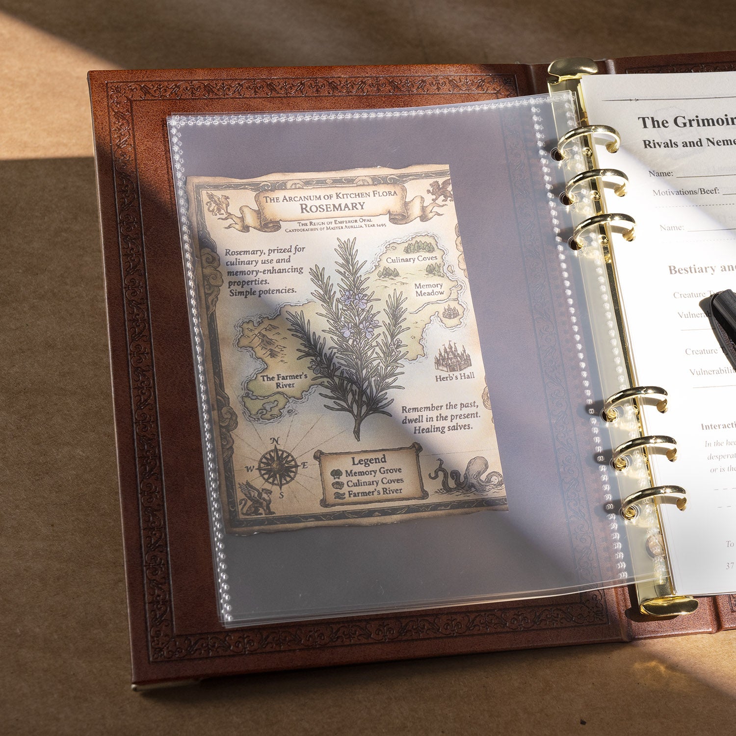 6 Ring Transparent Pocket Inserts for RPG Binders and Collectible Cards